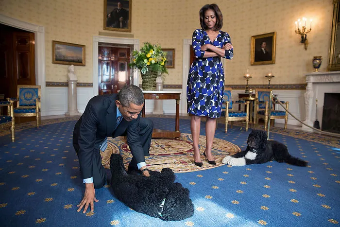 The White House Pets