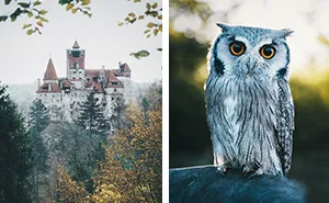 My Landscape & Animal Shots Will Make You Want To Drop Everything And Travel To All These Beautiful Places!