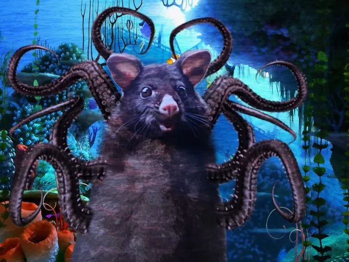 Octopossum
