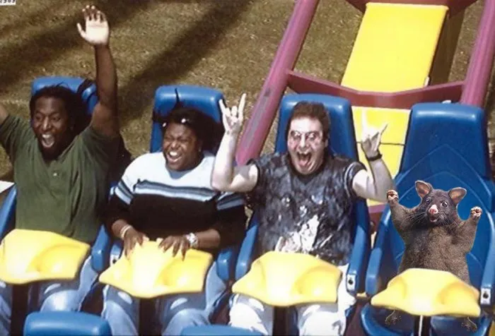 Having Fun With Homies