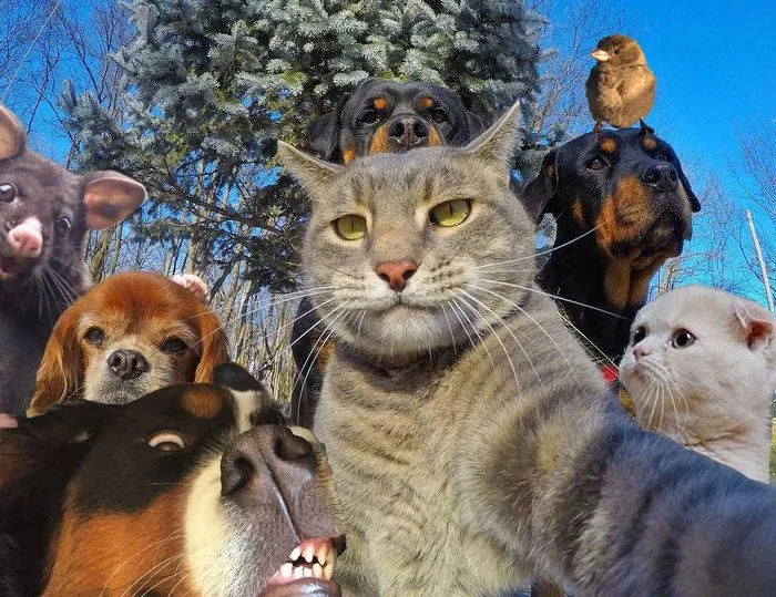 Selfie With Friends