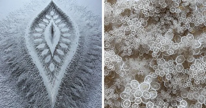 Complex Organic Paper Art By Rogan Brown