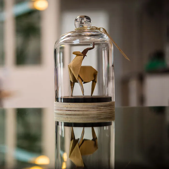 Antelope