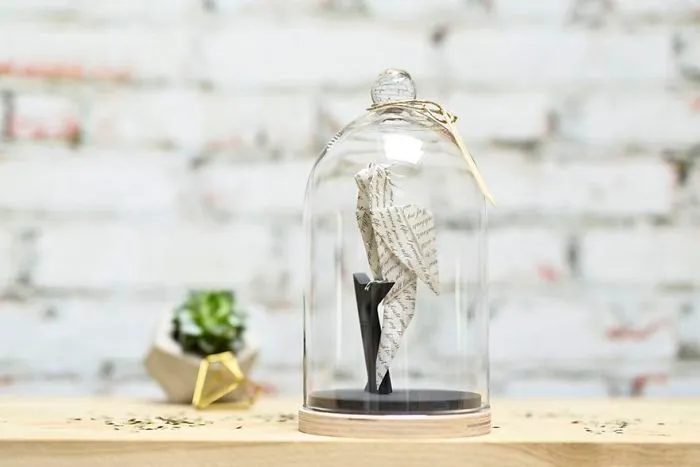 Parrot
