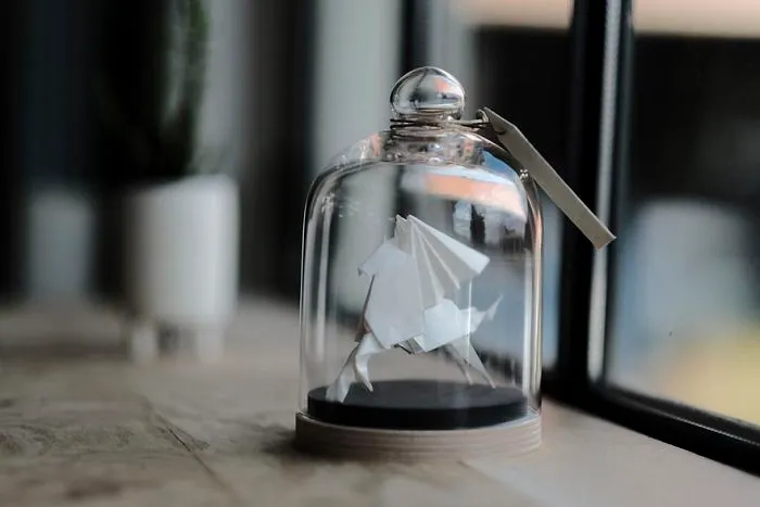 White Pegasus