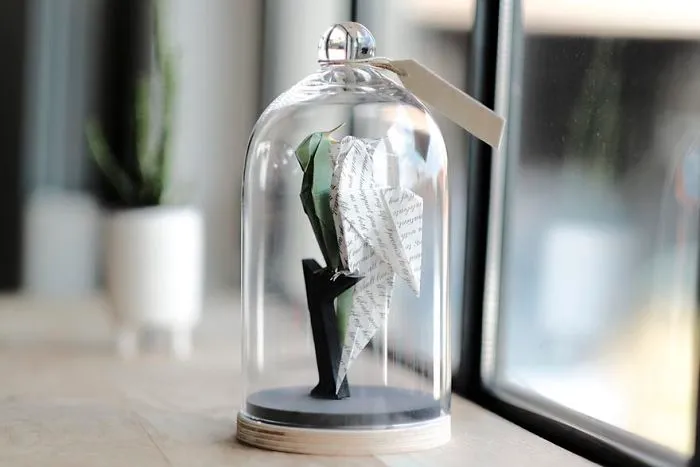 Parrot Couple