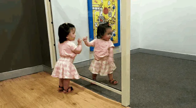 Mirror Mirror On The Wall, Oh Wait!
