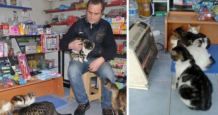Worst Snowstorm In Years Just Hit Istanbul, And This Is How People Are Helping Stray Animals