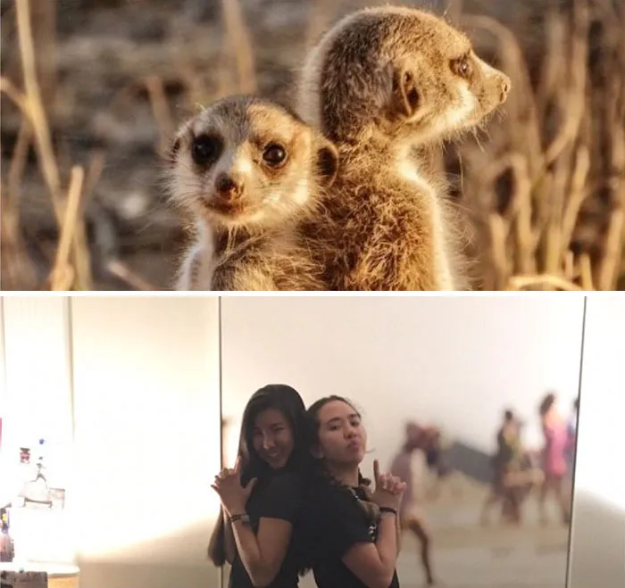 Have You Ever Noticed How Sorority Girls Always Pose Like Meerkats? (27 Pics)