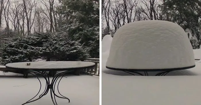 Massive Snowfall Timelapse
