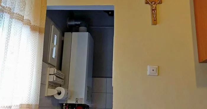 Can You Find This Guy's Cat?