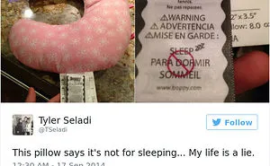 81 Posts That Will Destroy Your World View