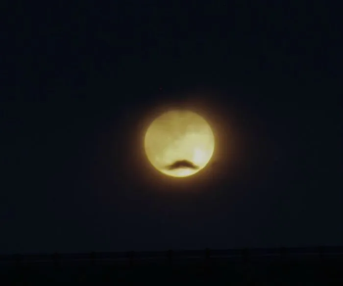 A True Gentlemoon