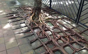 166 Incredible Photos You Won't Believe Are Not Photoshopped