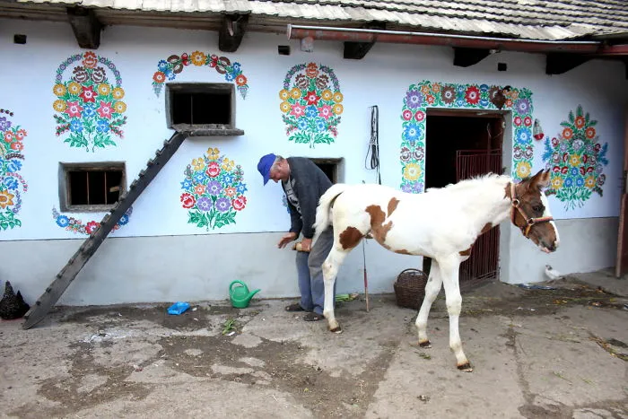 Little Polish Village Where Everything Is Covered In Colorful Flower Paintings