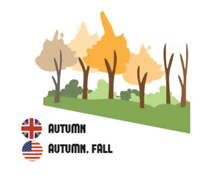 58 Differences Between British And American English That Still Confuse Everyone