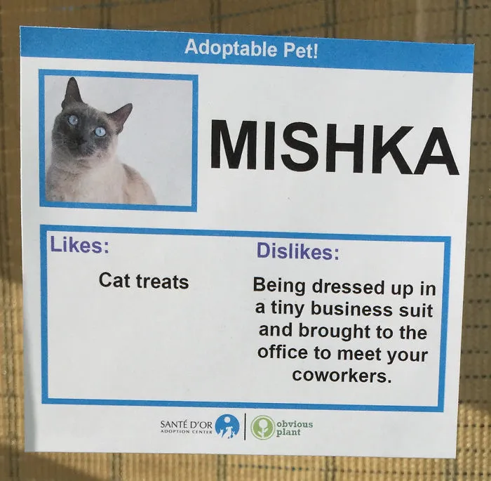 Mishka