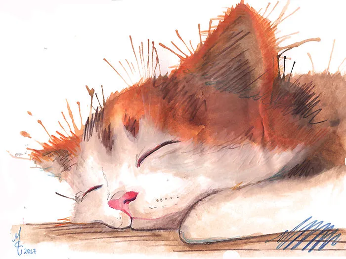 I Paint Animals From My Dreams In Watercolour