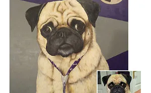 I Make Custom Pet Paitnings