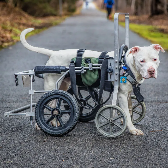 My Name Is Hotrodmel And These Are My Wheels.