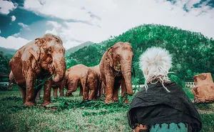 Volunteering At Elephant Shelters Became Our New Way Of Travelling