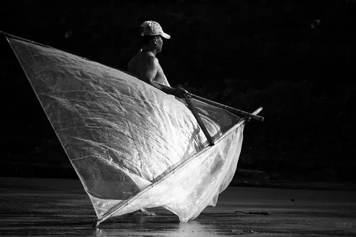 the Children Of The Sea