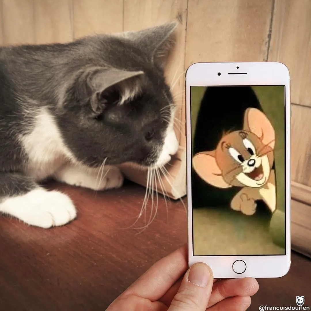Tom And Jerry