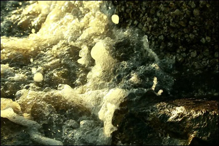 Foam Sea Waves