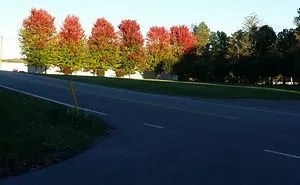 Sun Sets Along With Summer.