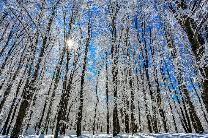 Tbilisi National Park