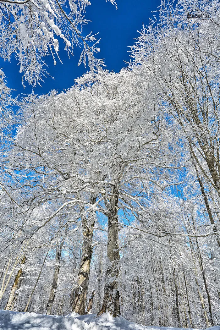 Tbilisi National Park
