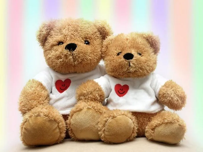 Teddy Day