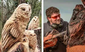 I Create Detailed Wooden Sculptures Carving Them With A Chainsaw