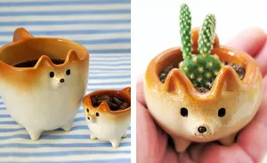 My Shiba Inu Ceramics That I Create To Bring Smiles To People's Faces