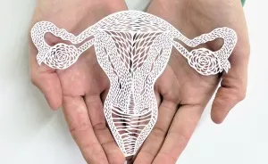I Hand-Cut Anatomical Organs Out Of Paper