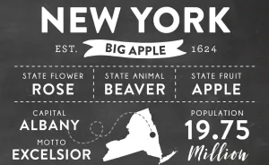 I Create Infographics With Fun Facts About All 50 U.S. States (10+ Images)