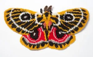 I Knit Different Moths To Reveal Their Spectacular Variety