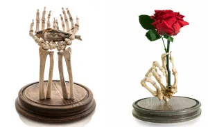 Taking Real Human Bones And Giving Them A New Lease Of Life