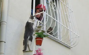 This Woman Built A "Cat Ladder" For Strays So They Could Come In When It's Cold Outside