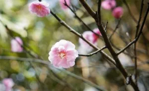 I Photograph The Beauty Of Nature