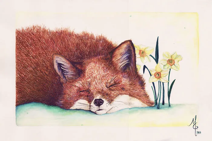 I Paint Animals From My Dreams In Watercolour