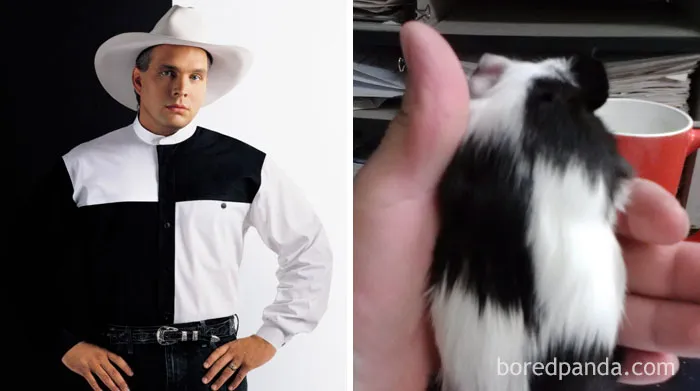 Man in a black and white outfit beside a black and white guinea pig for "who wore it better" comparison.