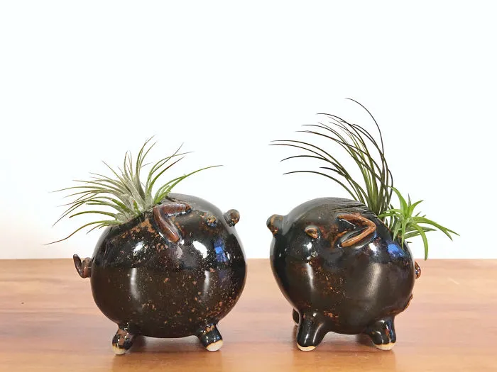 I Express My Connection With Nature By Creating Ceramic Animal Vases