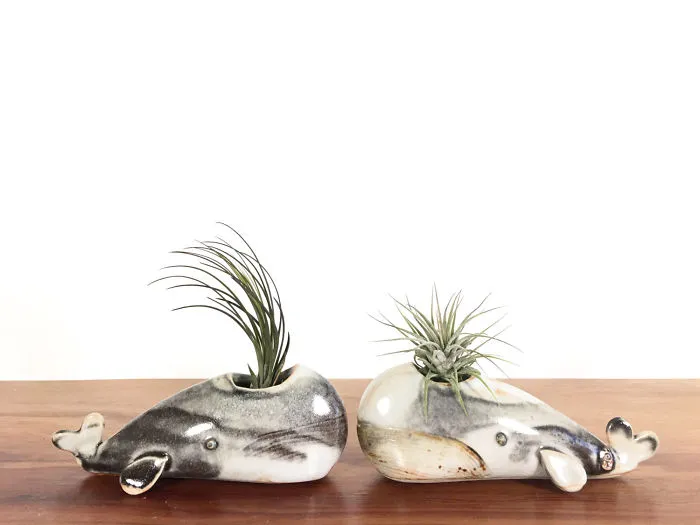 I Express My Connection With Nature By Creating Ceramic Animal Vases