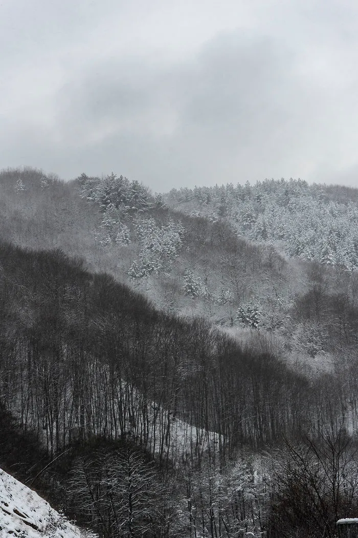 Layers Of Snow