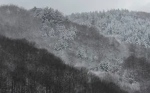 Layers Of Snow