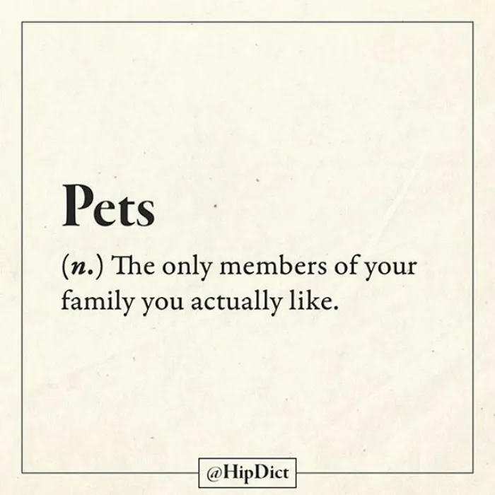 If Dictionaries Were Honest (59 Pics)