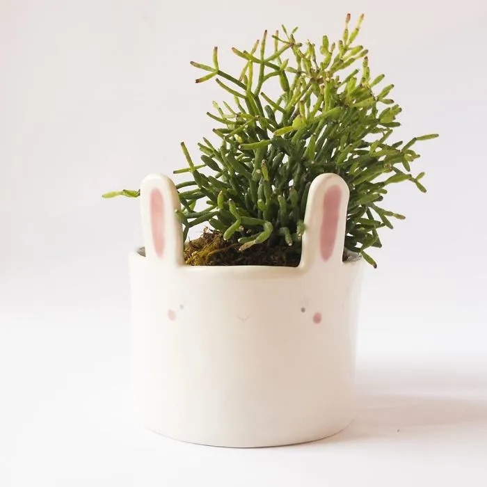 We Create Ceramic Creatures To Keep You Company