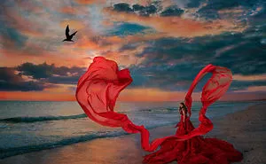 Raven And The Red