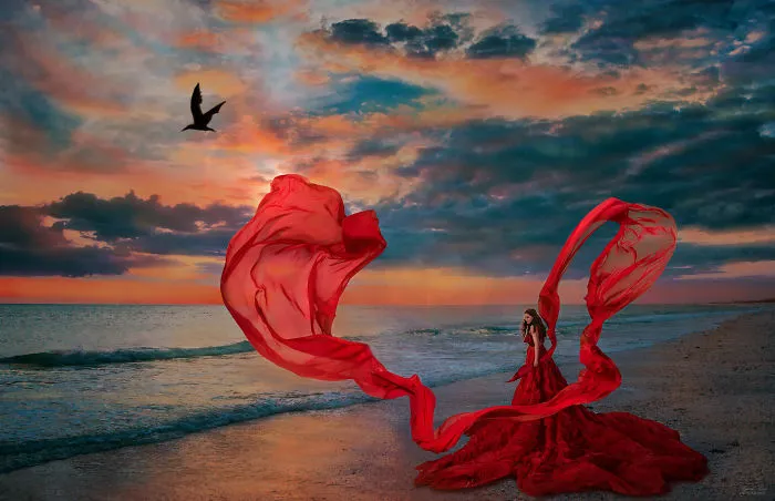 Raven And The Red